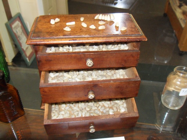 tooth chest 2